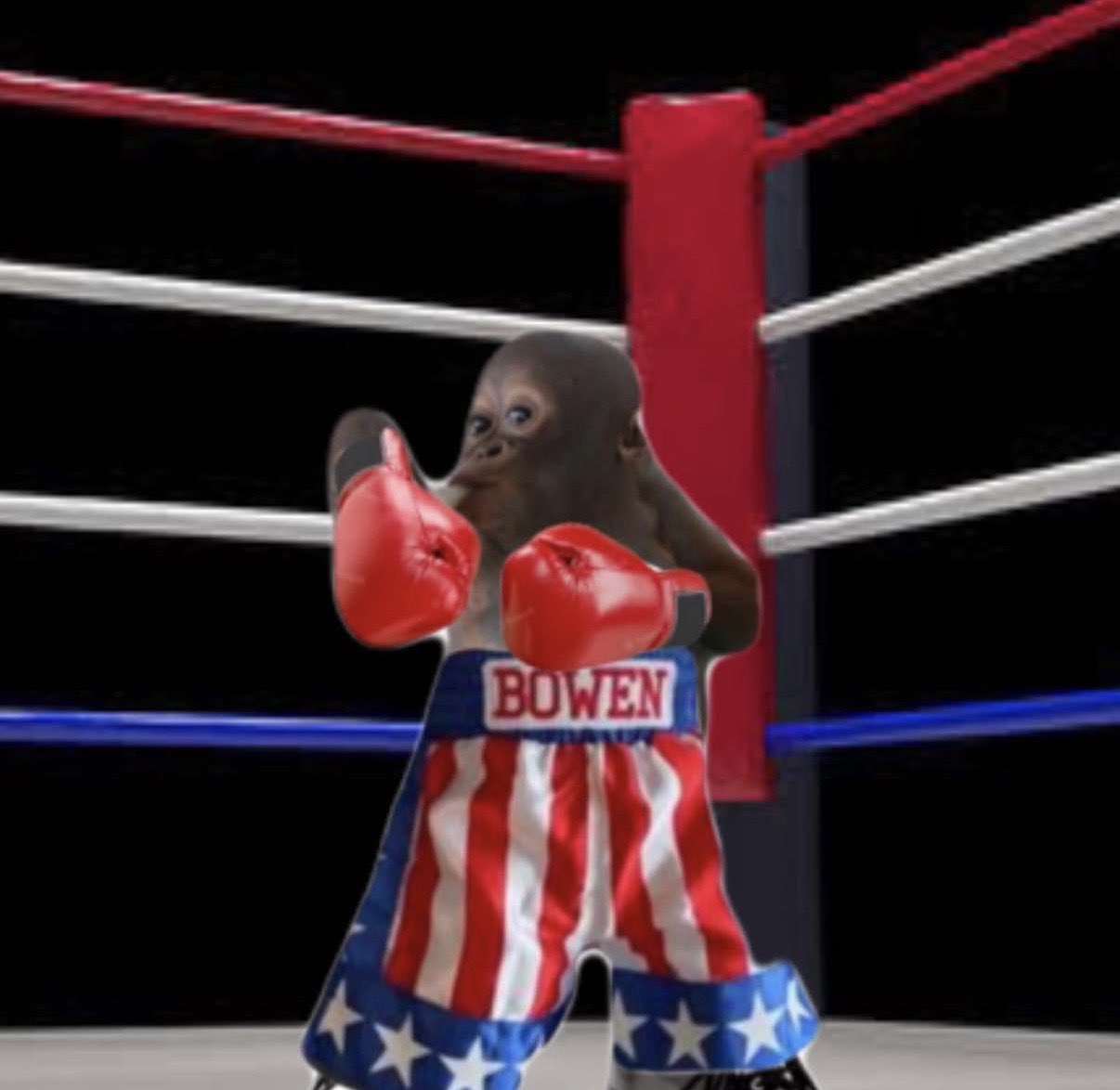 Budi Balboa