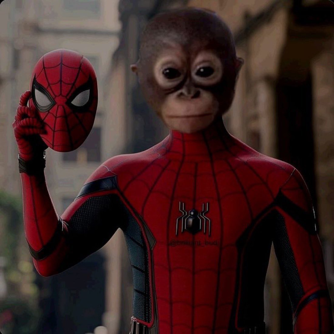 Spider-Budi